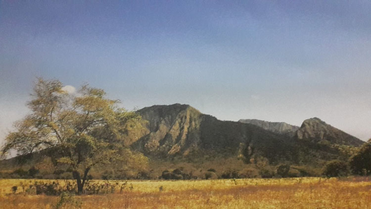 Taman Nasional Baluran “Little Africa In Java”