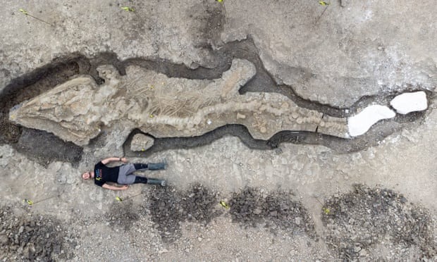 Fosil Raksasa “Naga Laut” Ditemukan di Inggris