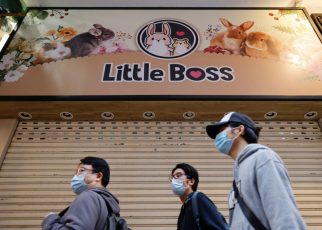 2,000 Hamster Dimusnahkan di Toko Hewan Hong Kong
