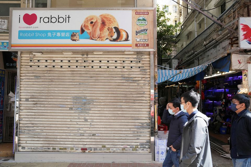 Polisi Hong Kong Turun Tangan dalam Pemusnahan Hamster