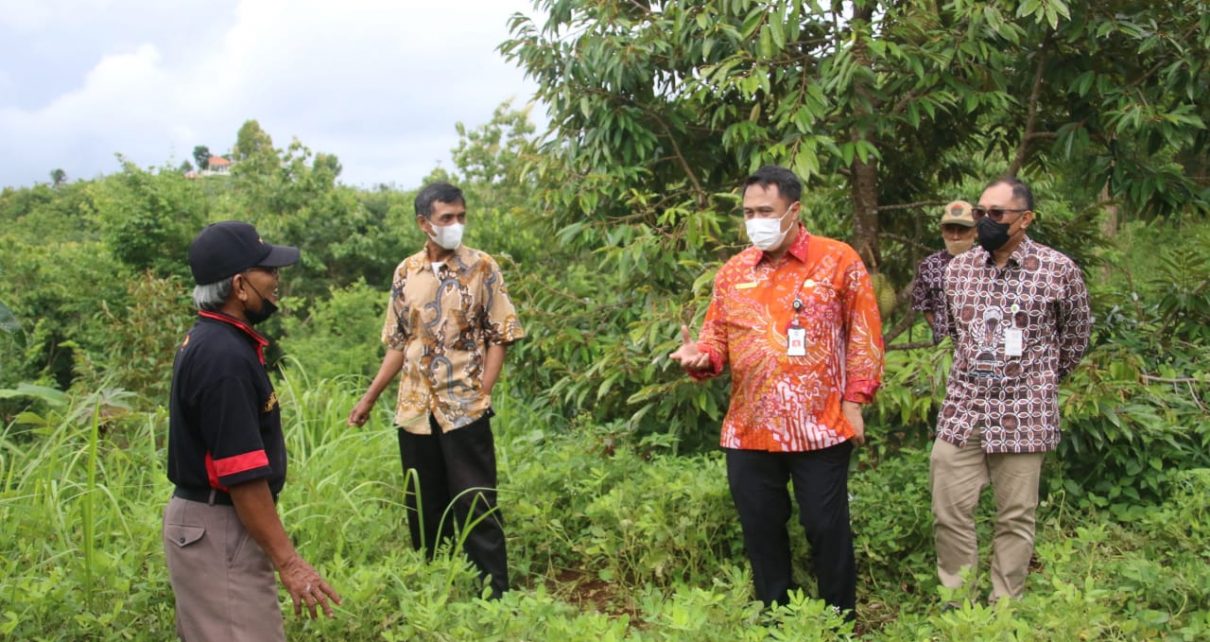 Kemendagri Dorong Pemanfaatan Lahan Kritis di Bantul