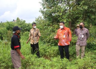 Kemendagri Dorong Pemanfaatan Lahan Kritis di Bantul