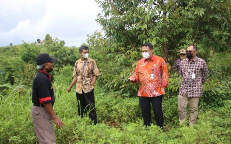 Kemendagri Dorong Pemanfaatan Lahan Kritis di Bantul