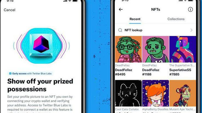 Pengguna Twitter Blue Bisa Tampilkan NFT Sebagai Foto Profil