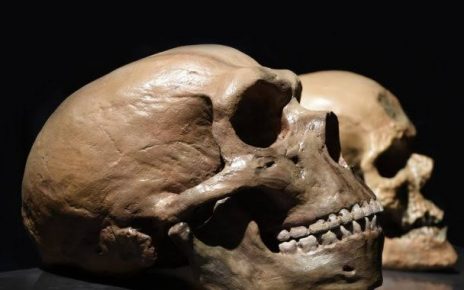 Simulasi Superkomputer Jelaskan Bagaimana Perubahan Iklim Mempengaruhi Persebaran Manusia Purba