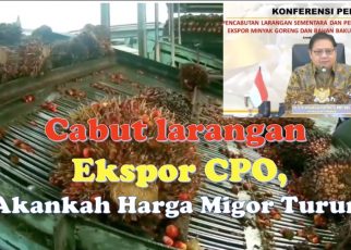Cabut larangan ekspor CPO, Akankah Harga Migor Turun?
