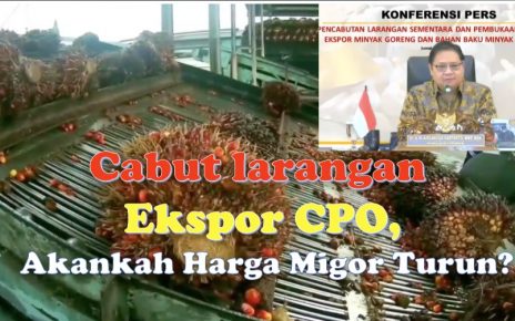 Cabut larangan ekspor CPO, Akankah Harga Migor Turun?