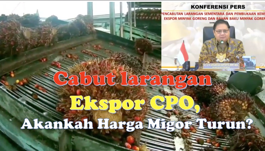 Cabut larangan ekspor CPO, Akankah Harga Migor Turun?