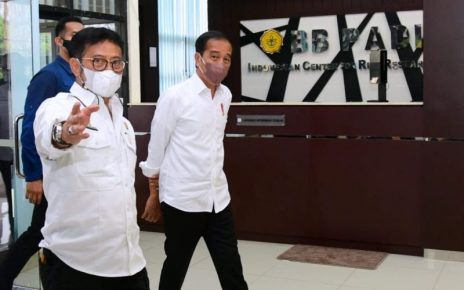 Presiden Jokowi Yakin Indonesia Segera Capai Swasembada Beras
