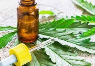 Ganja Tetap Dilarang di Indonesia