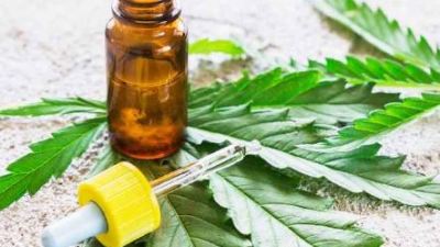 Ganja Tetap Dilarang di Indonesia