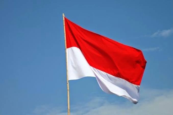 Menyambut Hari Kemerdekaan RI, Kemendagri Ajak Masyarakat Ikuti Gerakan 10 Juta Bendera Merah Putih