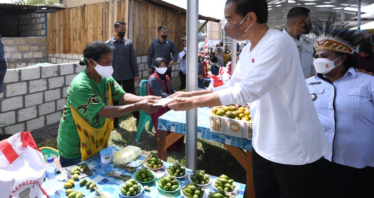 Presiden Jokowi: Pemekaran di Papua Ciptakan Pemerataan Pembangunan