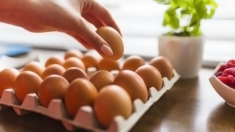 Cara Menyimpan Telur Supaya Tak Cepat Busuk
