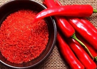 Kenapa Ada Orang yang Hobi Makan Pedas?