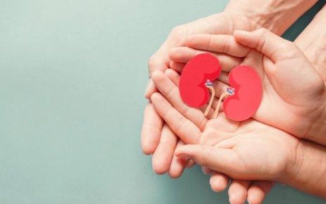 Penting Ini Tips Mudah Jaga Kesehatan Ginjal