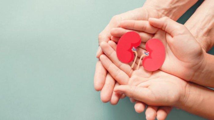 Penting Ini Tips Mudah Jaga Kesehatan Ginjal