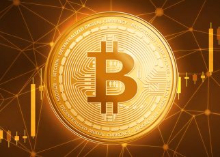 Gubernur Bali Tegaskan Pelarangan Transaksi dengan Kripto