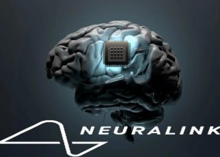 Chip Otak Elon musk Neuralink Disetujui Pemerintah Amerika
