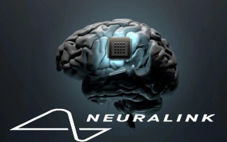 Chip Otak Elon musk Neuralink Disetujui Pemerintah Amerika