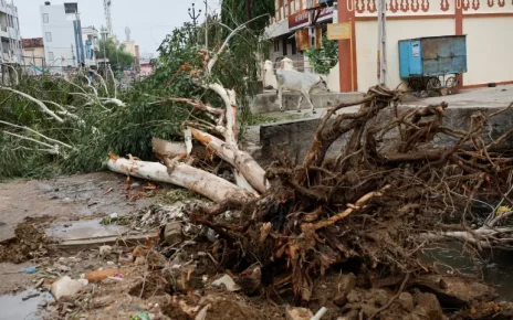 Badai Biparjoy Melemah Setelah Menghantam India