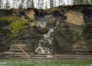 Virus Zombie di Permafrost yang Muncul Dari Perubahan Iklim