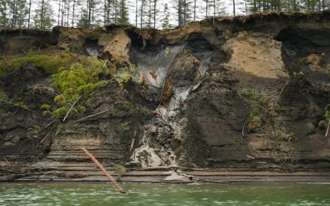 Virus Zombie di Permafrost yang Muncul Dari Perubahan Iklim