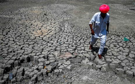 Suhu Ekstrim India Berdampak ke Berbagai Sektor