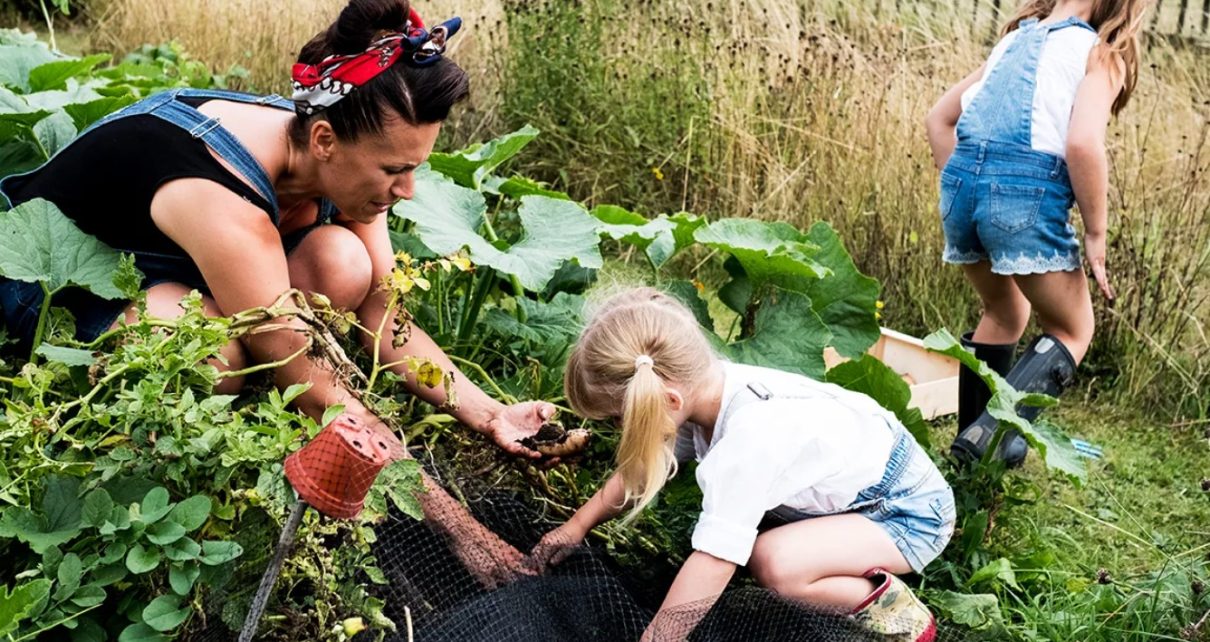Riset Sebutkan Berkebun dapat Menangani Stress