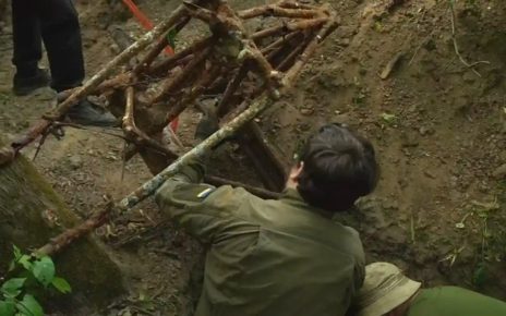 Peneliti Temukan Pesawat Langka Era Perang Dunia II di Ukraina