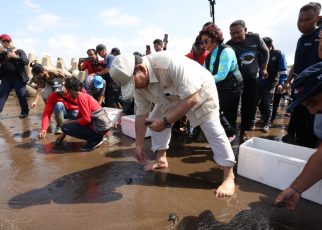 Menhan Prabowo Bersama Susi Pudjiastuti Lepas Anak Penyu di Laut Pangandaran