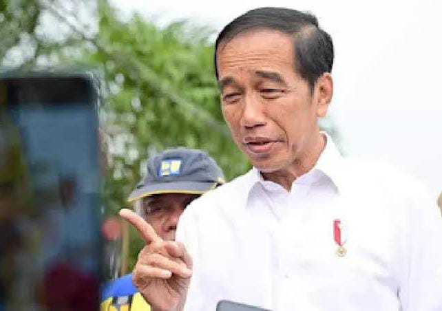 Jokowi: Media Sosial Seharusnya Tidak Dijadikan Platform Bisnis