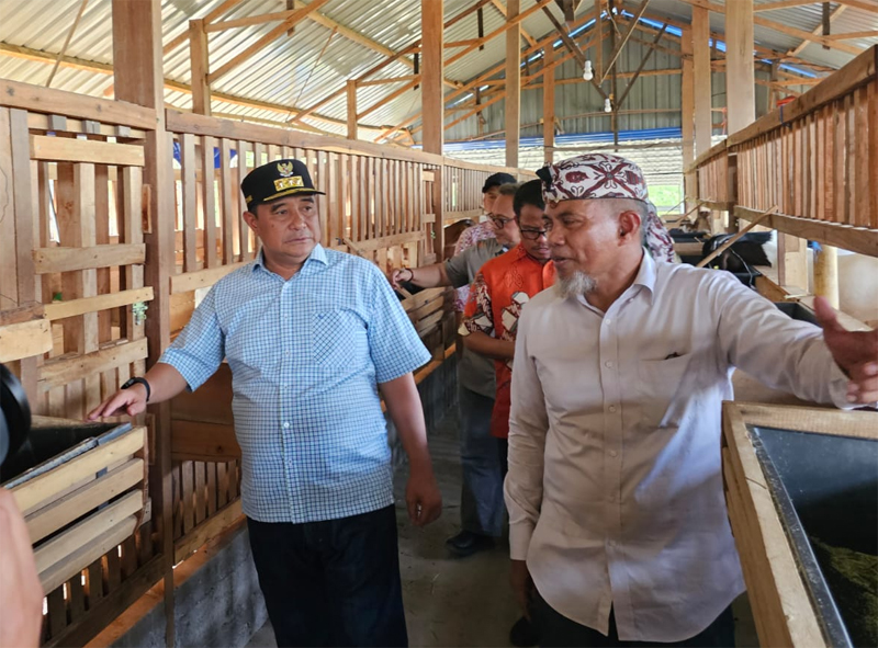 Bahtiar Baharuddin, meninjau sentra ternak kambing dan ayam petelor di kawasan Bili-Bili, Kabupaten Gowa