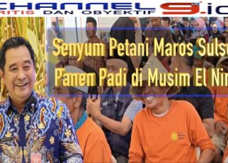 Senyum Petani Maros Sulsel, Panen Padi di Musim El Nino