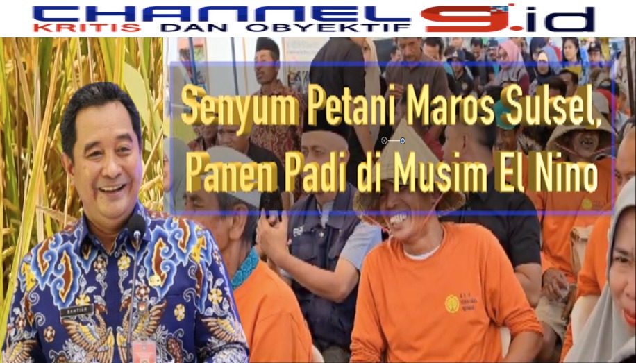 Senyum Petani Maros Sulsel, Panen Padi di Musim El Nino