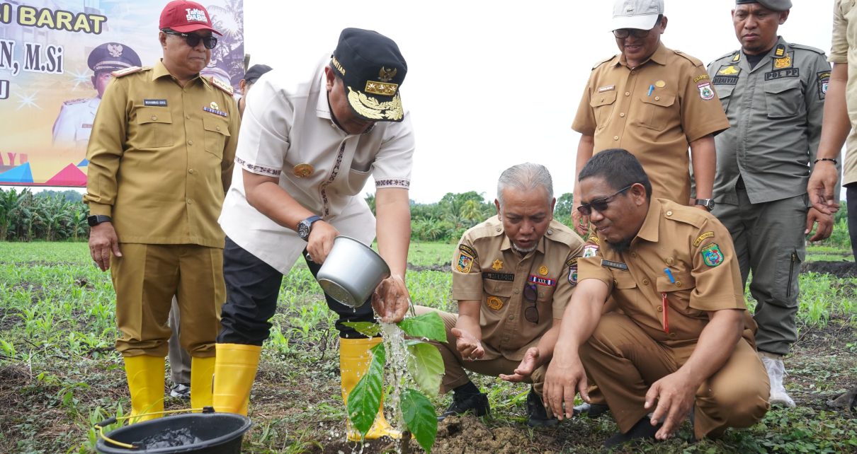 Pj Bahtiar sedang menanam sukun.