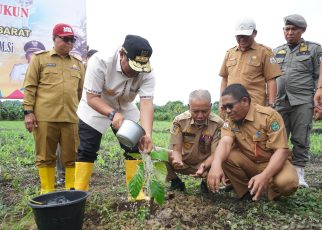 Pj Bahtiar sedang menanam sukun.