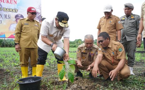 Pj Bahtiar sedang menanam sukun.