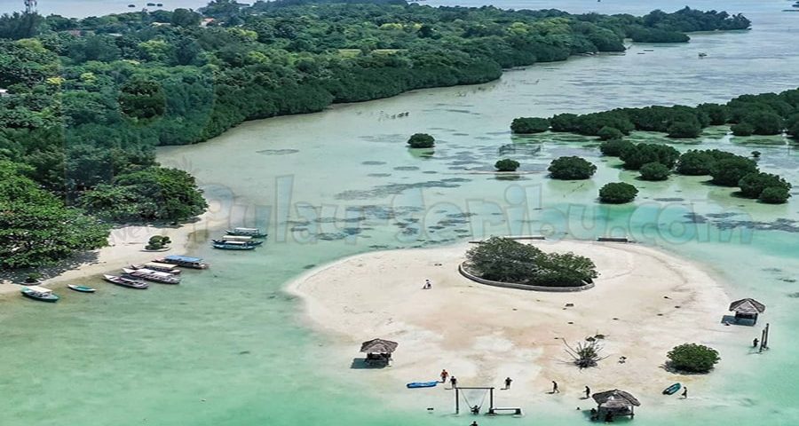 Reklamasi di Pulau Pari, Pulau Seribu, Jakarta