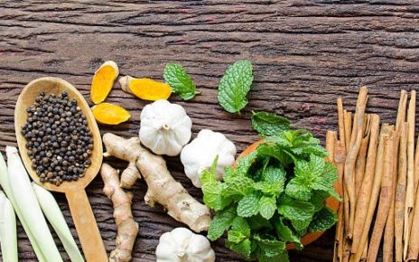 Tanaman obat keluarga untuk menjaga kesehatan
