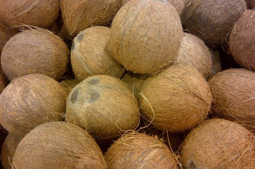 harga kelapa naik di Malaysia dan Filipina