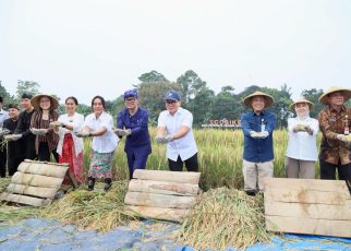 Bima Arya Panen Raya