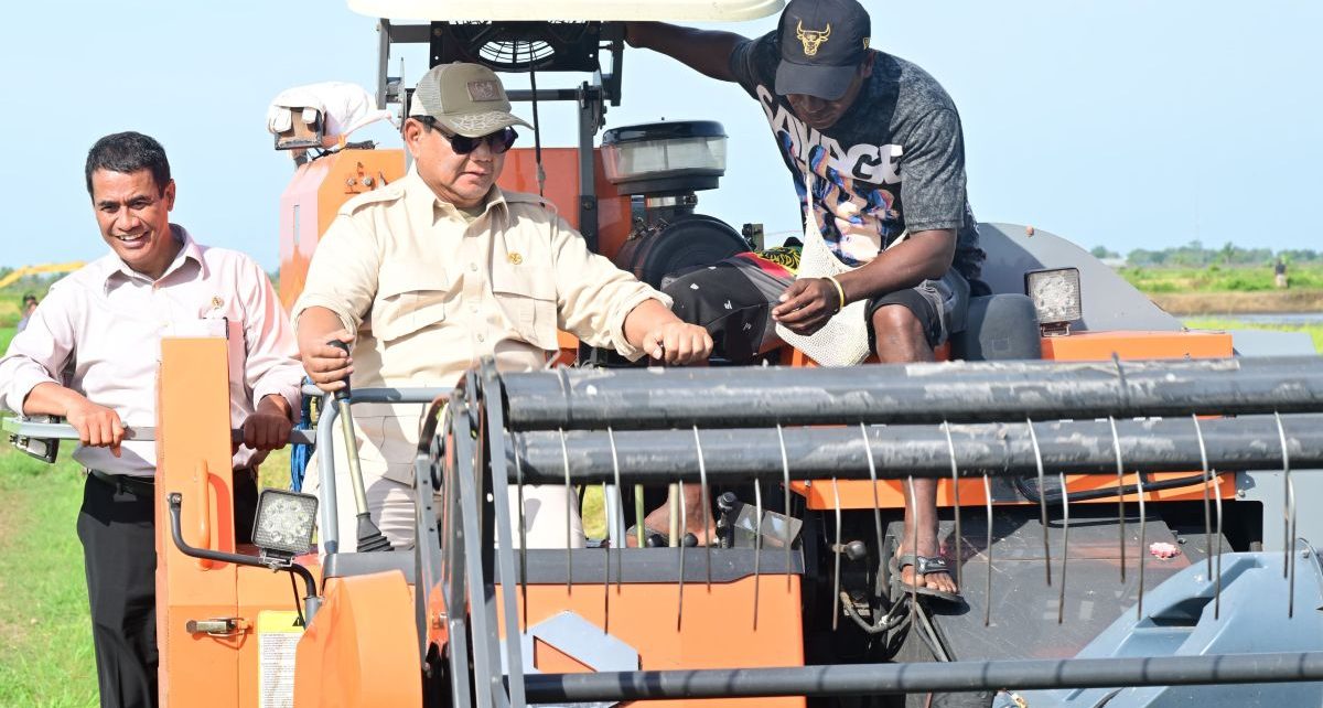 Prabowo naikkan anggaran swasembada pangan