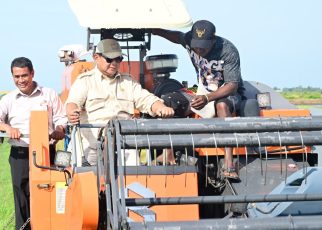 Prabowo naikkan anggaran swasembada pangan