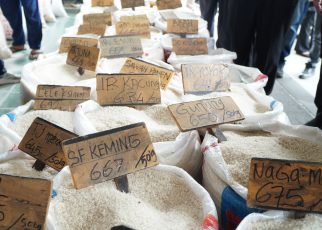 pedagang beras