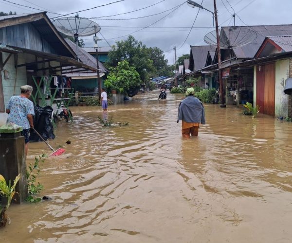 Banjir Tapanuli Tengah, IDAI kerahkan bantuan
