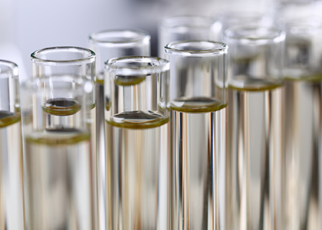 mandatori etanol di 2028