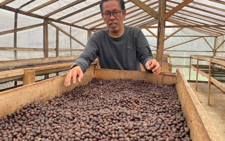 Dua Jalan Kebijakan Kopi: Indonesia dan Ethiopia di Persimpangan Strategi