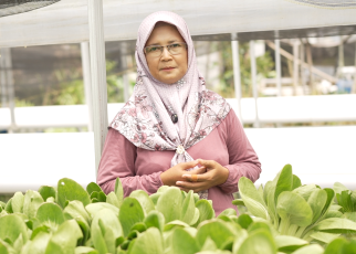 sayur/petani perempuan
