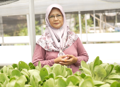 sayur/petani perempuan